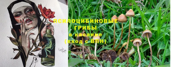 Альфа ПВП Богданович