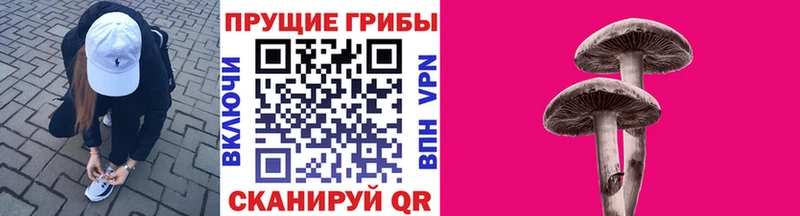 Псилоцибиновые грибы Magic Shrooms Мурино
