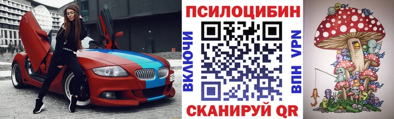 Псилоцибиновые грибы мицелий  Мурино 